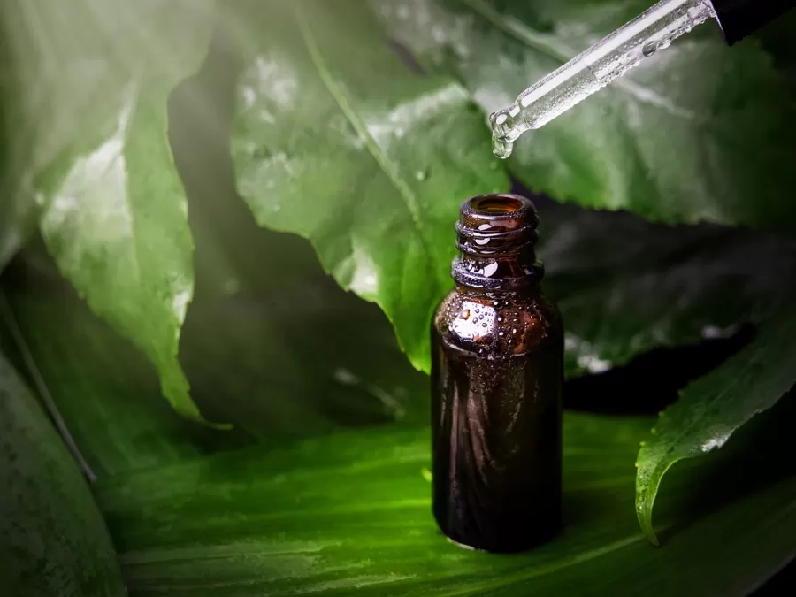 مدار الساعة,أخبار الأسرة