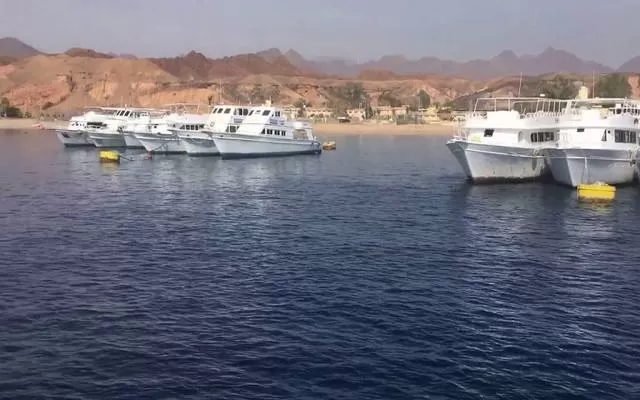 مدار الساعة,أخبار عربية ودولية