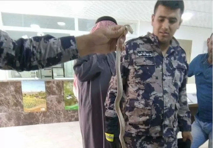 مدار الساعة,أخبار الأردن,اخبار الاردن,دائرة الأراضي والمساحة,الدفاع المدني,درجات الحرارة