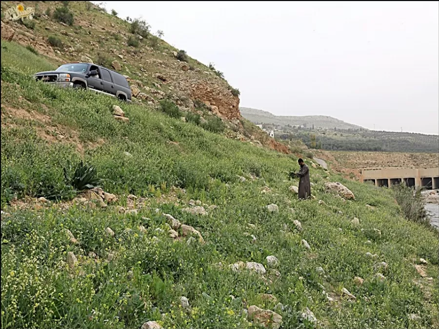 مدار الساعة,مقالات