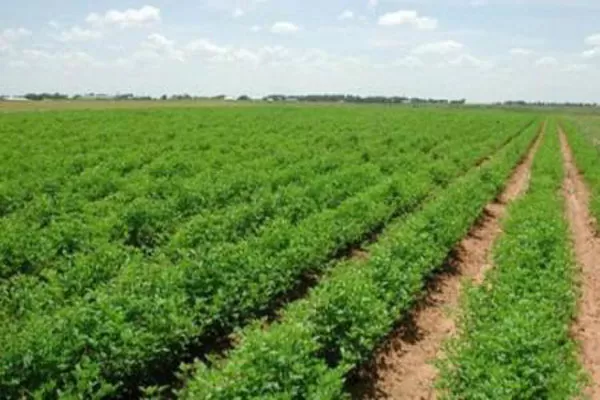 مدار الساعة,أخبار الأردن,اخبار الاردن,وزارة الزراعة