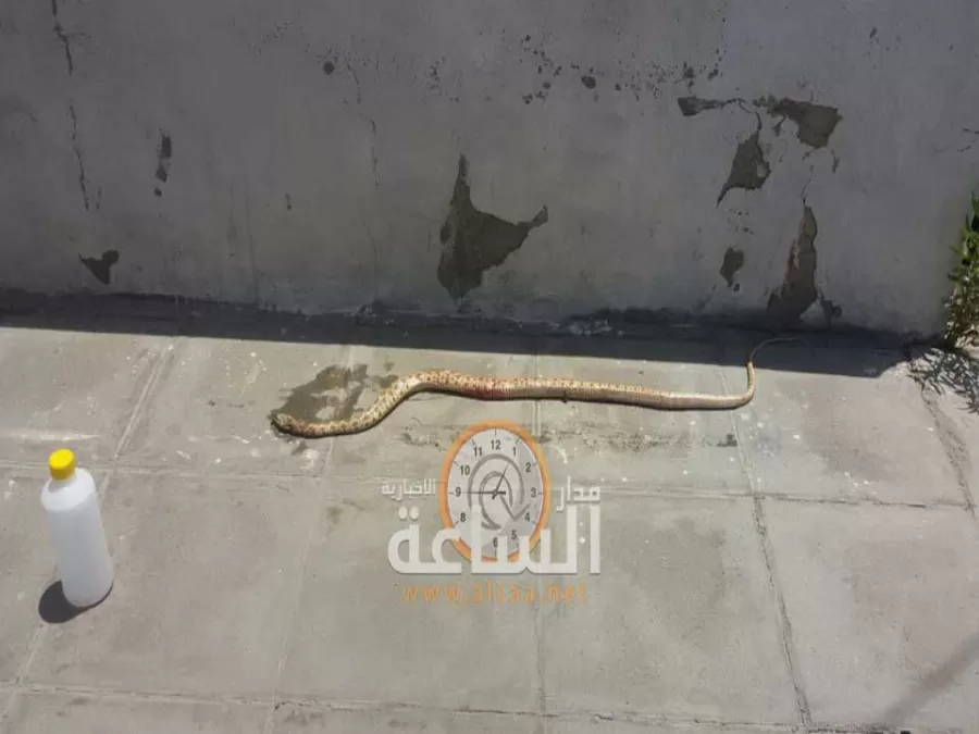 مدار الساعة,Video,فيديو,أخبار الأردن,اخبار الاردن