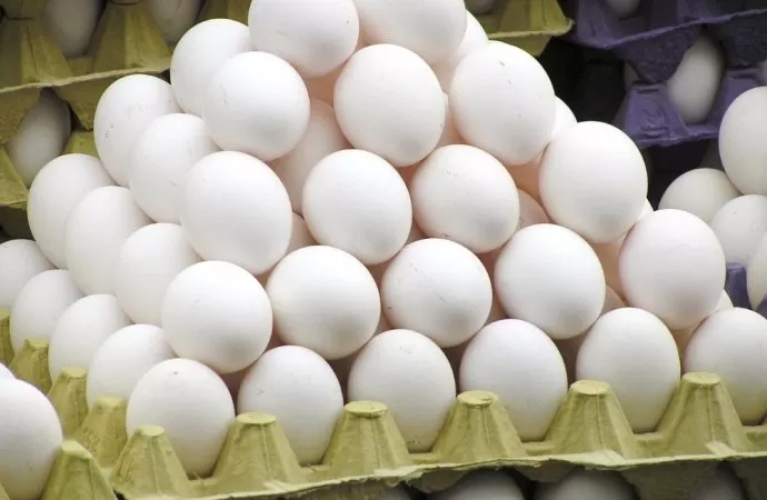 مدار الساعة,أخبار الأردن,اخبار الاردن,دائرة الإحصاءات العامة