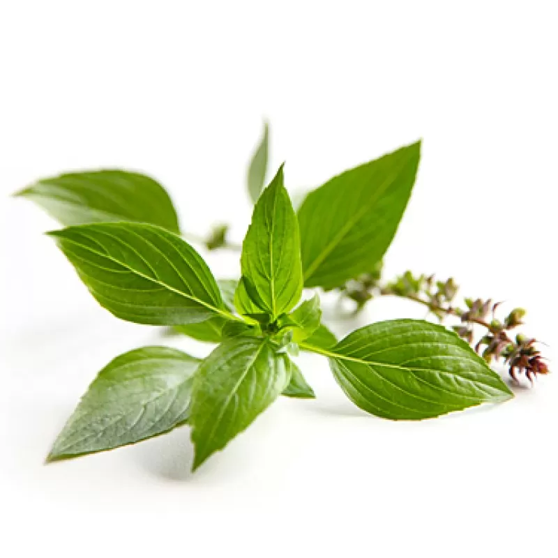 مدار الساعة,مقالات