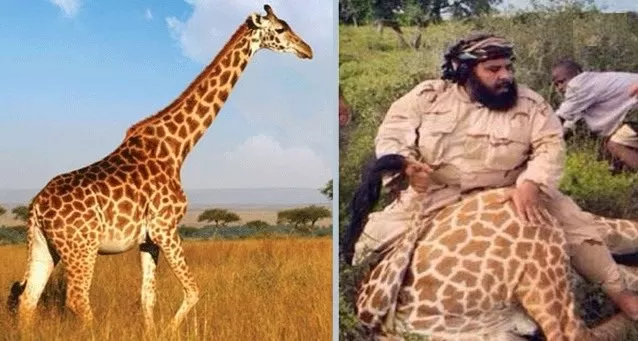 مدار الساعة,أخبار خفيفة ومنوعة