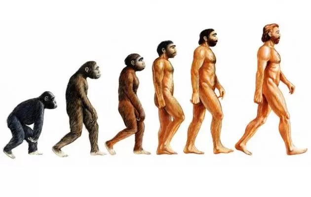 مدار الساعة,أخبار خفيفة ومنوعة