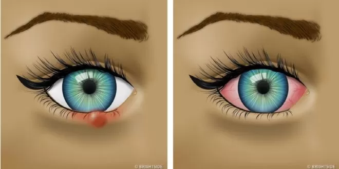 مدار الساعة,أخبار الأسرة
