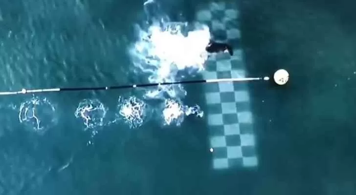 مدار الساعة,Video,فيديو,أخبار خفيفة ومنوعة