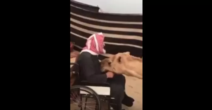 مدار الساعة,أخبار خفيفة ومنوعة