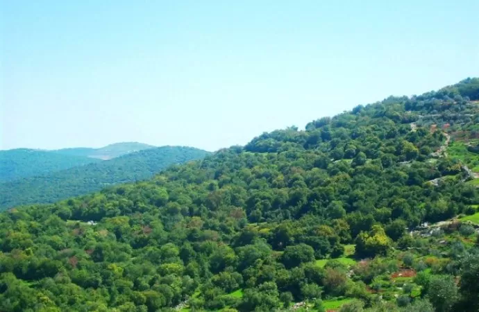 مدار الساعة,أخبار الأردن,اخبار الاردن,وزارة الزراعة,الدفاع المدني