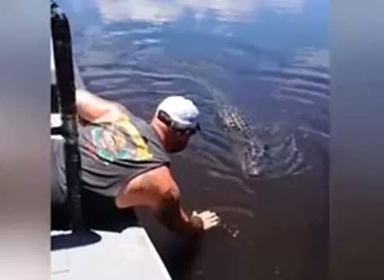 مدار الساعة,Video,فيديو,أخبار خفيفة ومنوعة