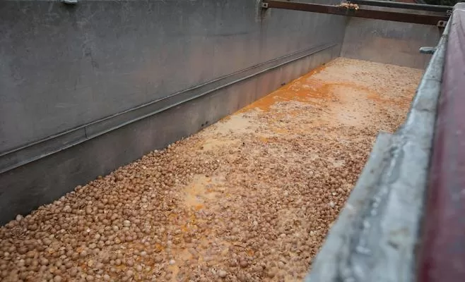 مدار الساعة,أخبار عربية ودولية