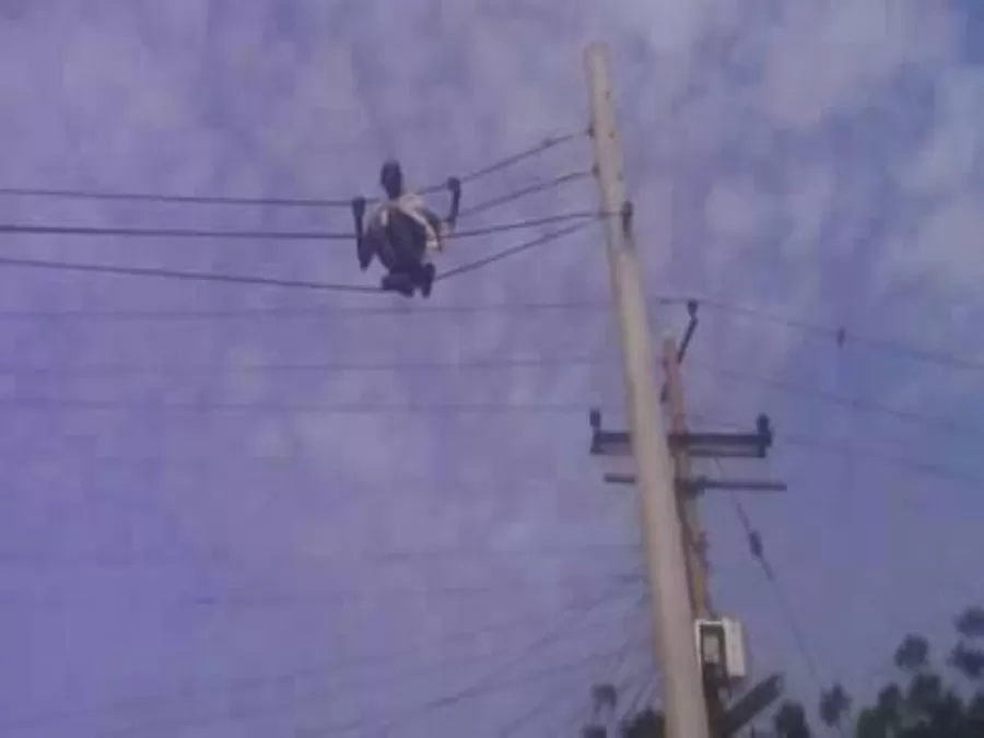 مدار الساعة,Video,فيديو,أخبار خفيفة ومنوعة,مواقع التواصل الاجتماعي