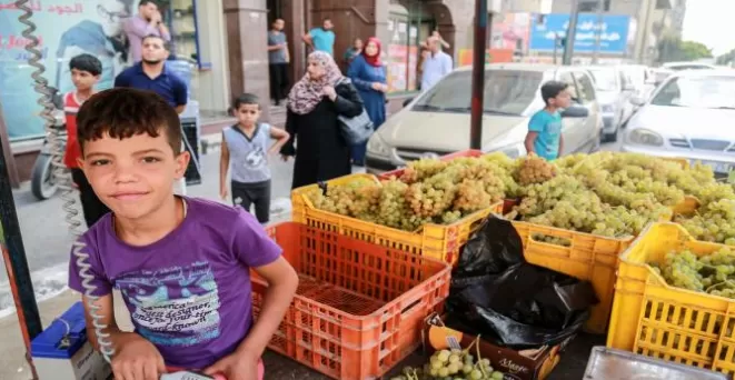 مدار الساعة,Video,فيديو,أخبار خفيفة ومنوعة,قطاع غزة