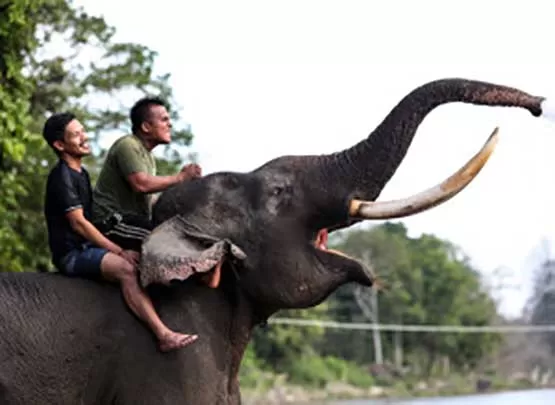 مدار الساعة,أخبار خفيفة ومنوعة