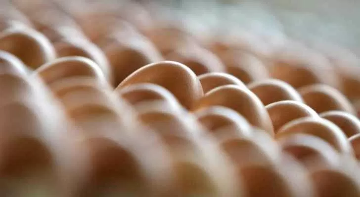 مدار الساعة,أخبار خفيفة ومنوعة,وزير الصحة