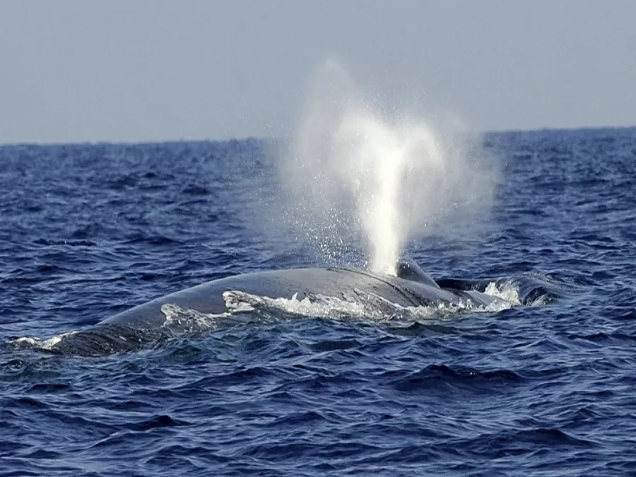 مدار الساعة,أخبار خفيفة ومنوعة