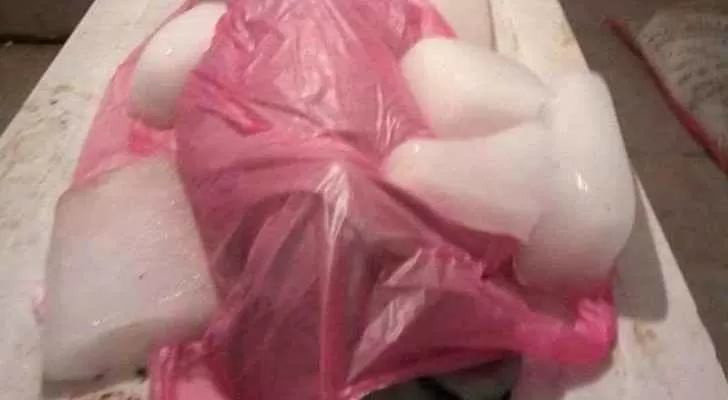 مدار الساعة,أخبار خفيفة ومنوعة,مواقع التواصل الاجتماعي