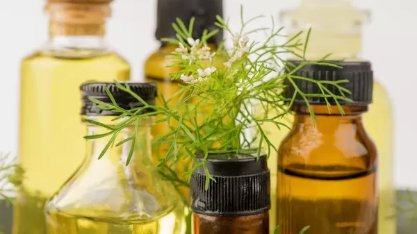 مدار الساعة,أخبار الأسرة