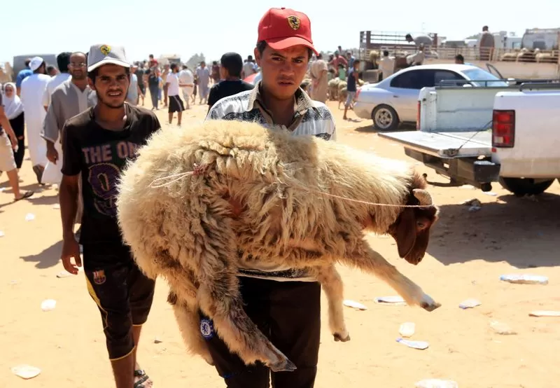 مدار الساعة,مقالات