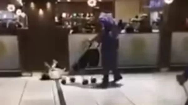 مدار الساعة,Video,فيديو,أخبار خفيفة ومنوعة,وزارة العمل,التنمية الاجتماعية