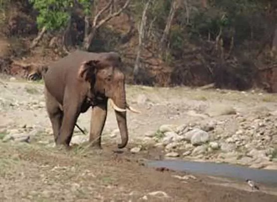 مدار الساعة,أخبار خفيفة ومنوعة