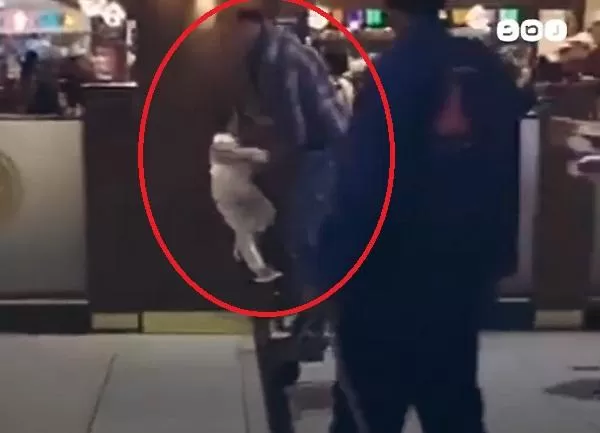 مدار الساعة,Video,فيديو,أخبار خفيفة ومنوعة,وزارة العمل,التنمية الاجتماعية,مواقع التواصل الاجتماعي