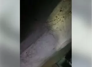 مدار الساعة,أخبار خفيفة ومنوعة