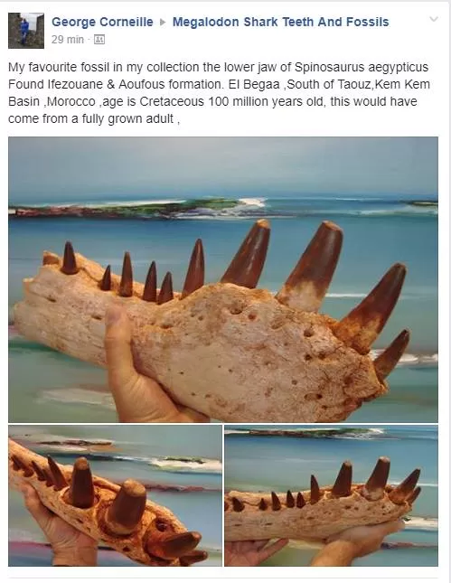 مدار الساعة,أخبار خفيفة ومنوعة,وزارة الثقافة,وزارة الطاقة,التنمية المستدامة