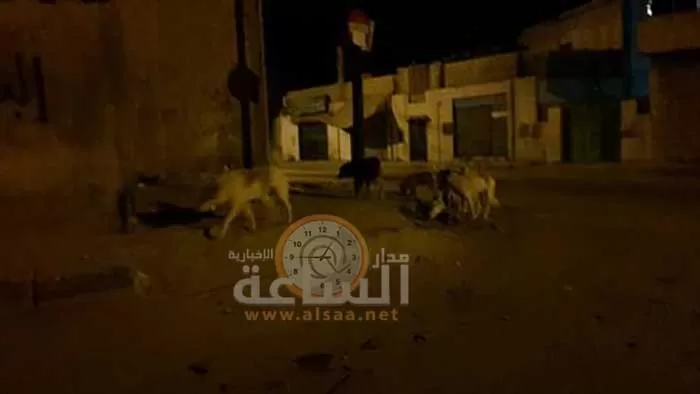 مدار الساعة,Video,فيديو,أخبار الأردن,اخبار الاردن