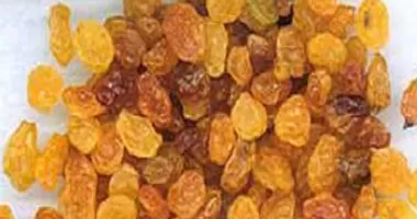 مدار الساعة,أخبار الأسرة