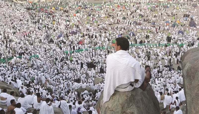 مدار الساعة,أخبار الأردن,اخبار الاردن,وزارة المالية,ديوان المحاسبة,الدينار الأردني