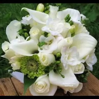 مدار الساعة,أخبار المجتمع الأردني