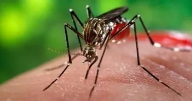 مدار الساعة,أخبار عربية ودولية