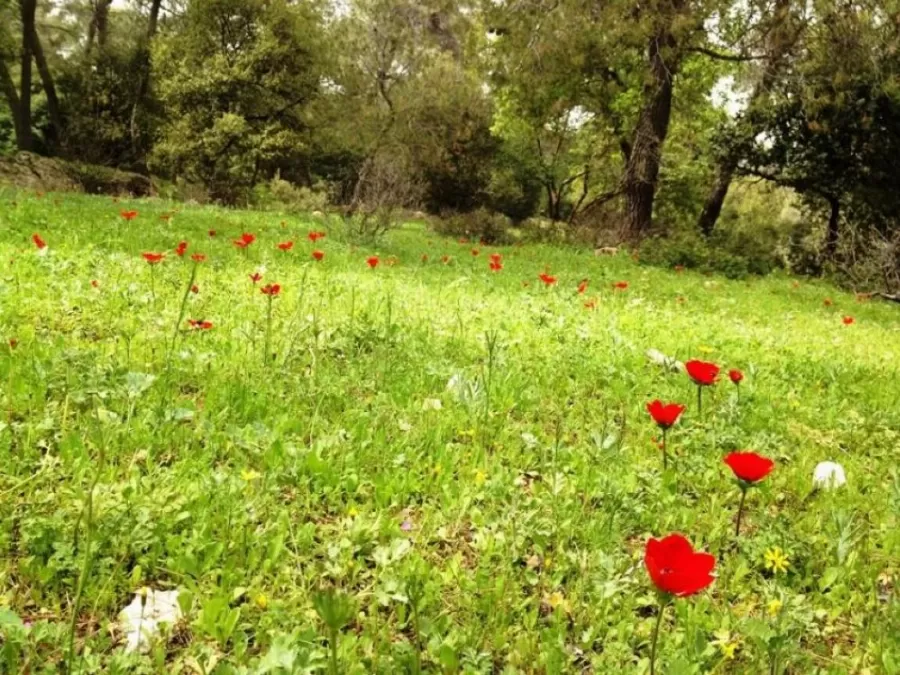 مدار الساعة,الطقس في الأردن اليوم,طقس الأردن,طقس العرب,طقس العرب الاردن,درجات الحرارة,البحر الميت
