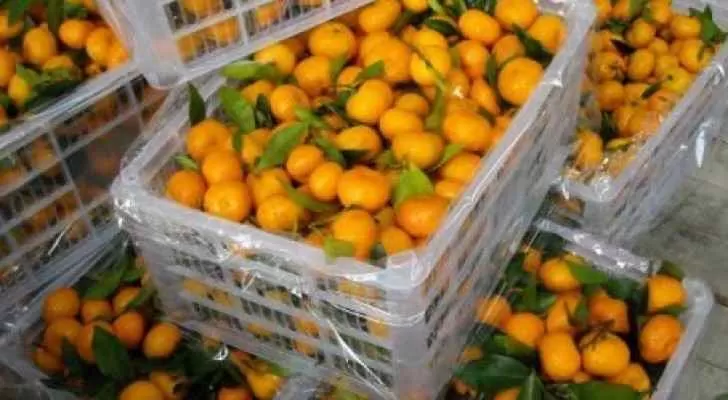 مدار الساعة,أخبار الأردن,اخبار الاردن,وزارة الزراعة