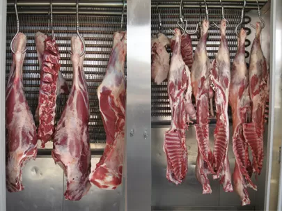 مدار الساعة,أخبار الأردن,اخبار الاردن