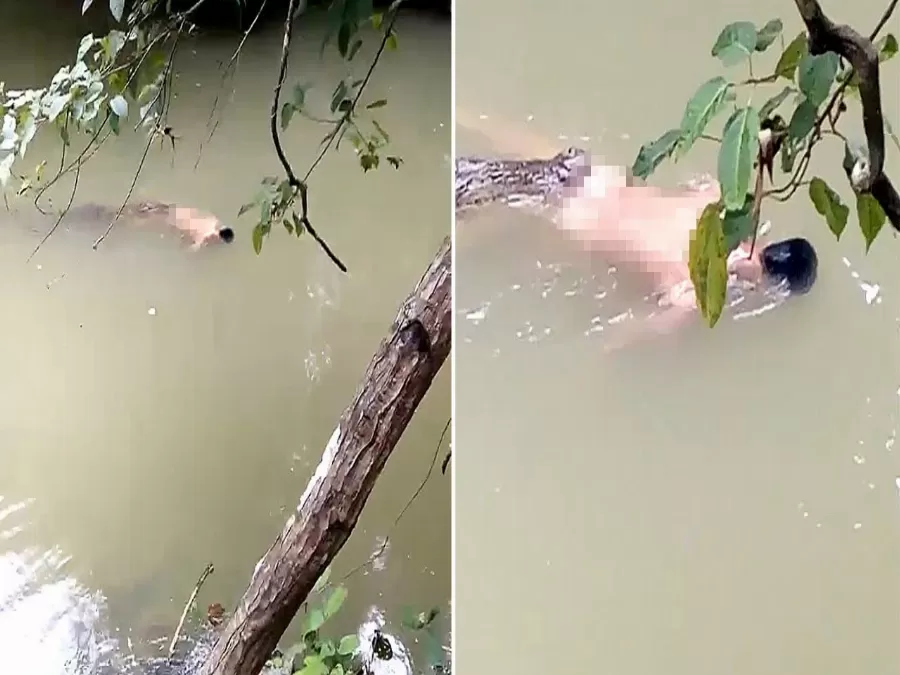 مدار الساعة,Video,فيديو,أخبار خفيفة ومنوعة