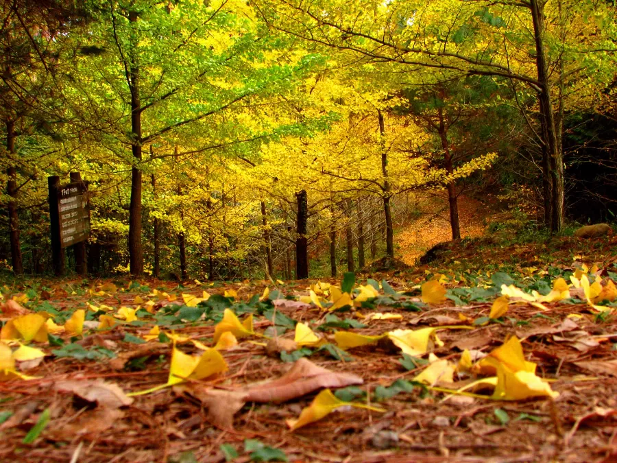 مدار الساعة,الطقس في الأردن اليوم,طقس الأردن,طقس العرب,طقس العرب الاردن,درجات الحرارة,البحر الميت