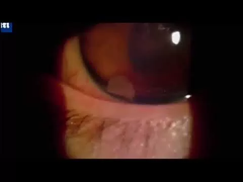 مدار الساعة,أخبار خفيفة ومنوعة