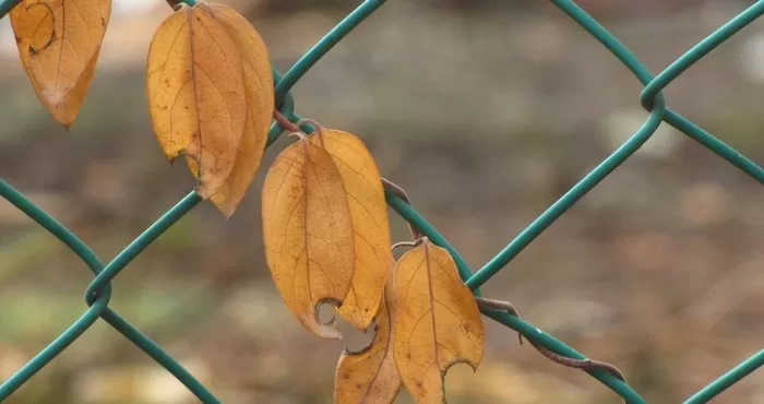 مدار الساعة,الطقس في الأردن اليوم,طقس الأردن,طقس العرب,طقس العرب الاردن,درجات الحرارة العظمى والصغرى,درجات الحرارة