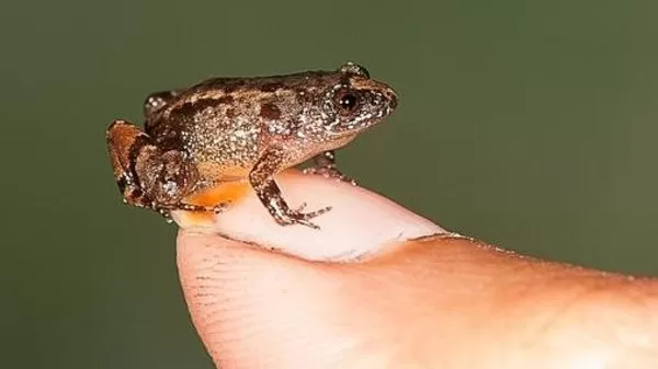 مدار الساعة,أخبار خفيفة ومنوعة,وزير الزراعة