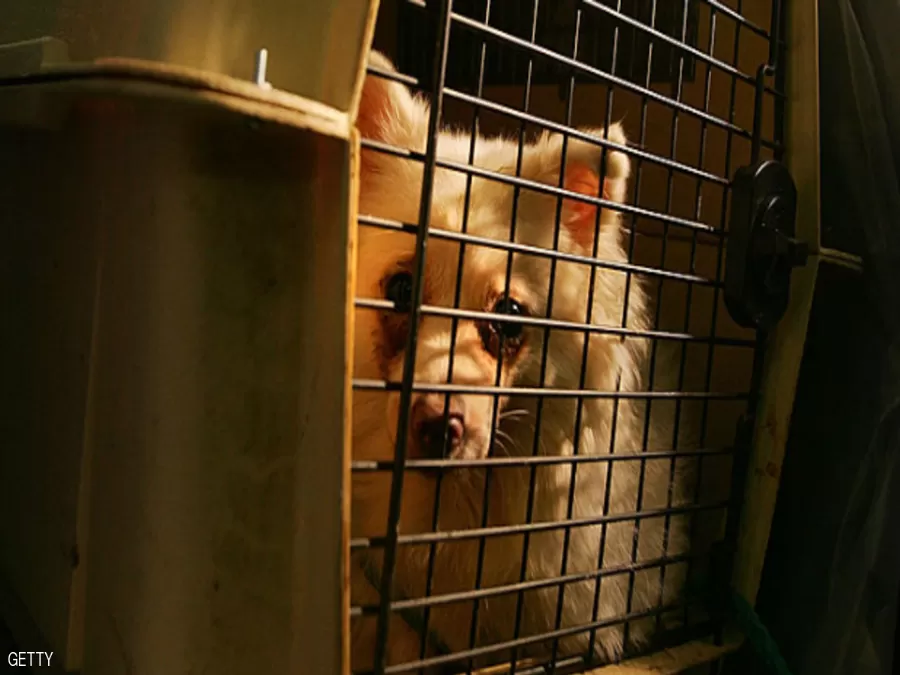 مدار الساعة,أخبار خفيفة ومنوعة