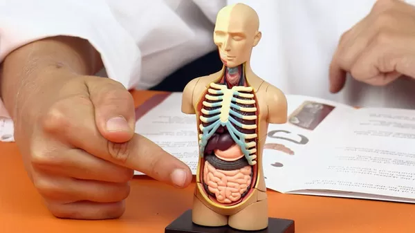 مدار الساعة,أخبار خفيفة ومنوعة