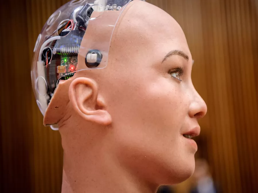 مدار الساعة,أخبار خفيفة ومنوعة,الأمم المتحدة,التنمية المستدامة