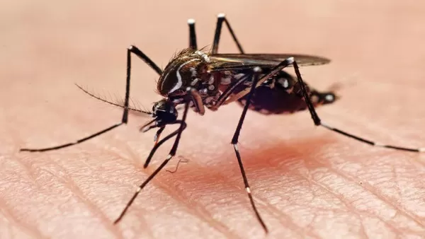 مدار الساعة,أخبار عربية ودولية,وزير الصحة,وزارة الصحة