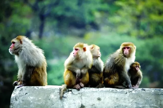 مدار الساعة,Video,فيديو,أخبار خفيفة ومنوعة