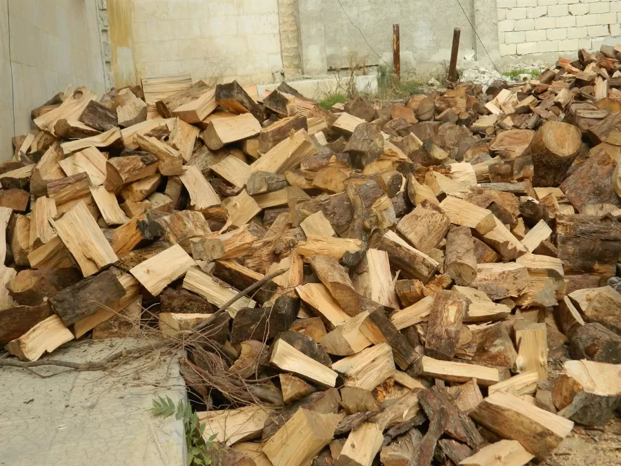 مدار الساعة,أخبار الأردن,اخبار الاردن,وزارة الصناعة والتجارة,وزارة الزراعة,وزارة الصناعة