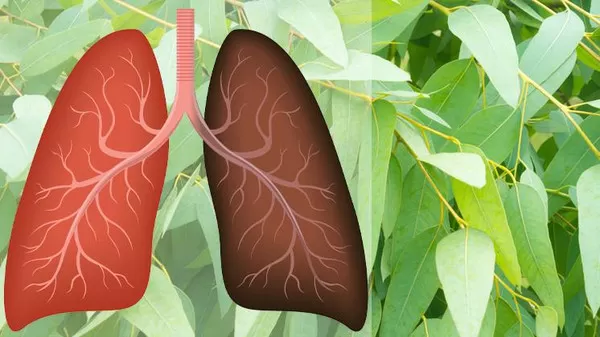 مدار الساعة,أخبار خفيفة ومنوعة