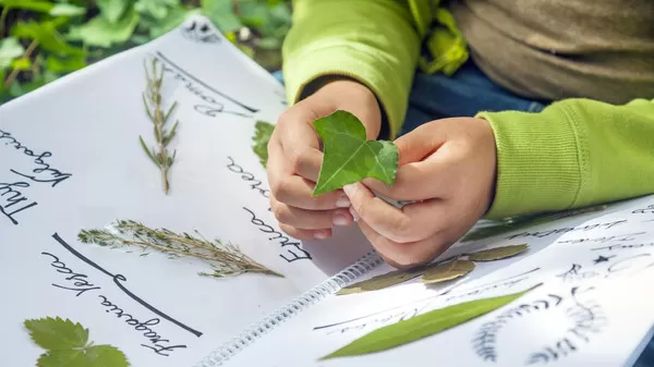 مدار الساعة,أخبار الأسرة